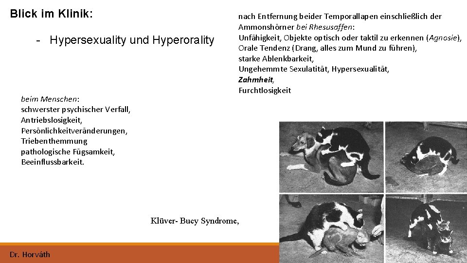 Blick im Klinik: - Hypersexuality und Hyperorality beim Menschen: schwerster psychischer Verfall, Antriebslosigkeit, Persönlichkeitveränderungen,