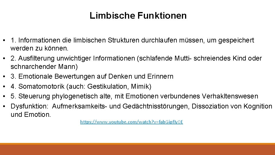 Limbische Funktionen • 1. Informationen die limbischen Strukturen durchlaufen müssen, um gespeichert werden zu