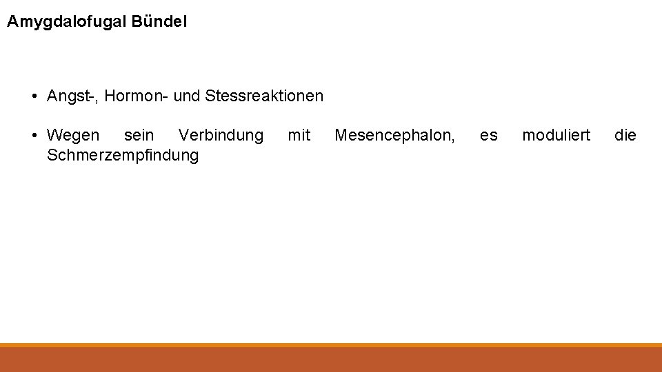 Amygdalofugal Bündel • Angst-, Hormon- und Stessreaktionen • Wegen sein Verbindung Schmerzempfindung mit Mesencephalon,