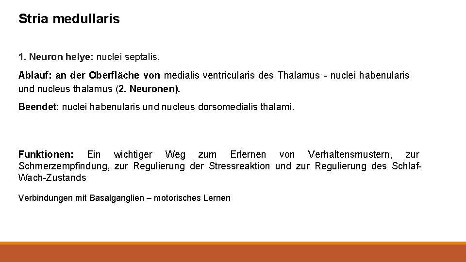 Stria medullaris 1. Neuron helye: nuclei septalis. Ablauf: an der Oberfläche von medialis ventricularis
