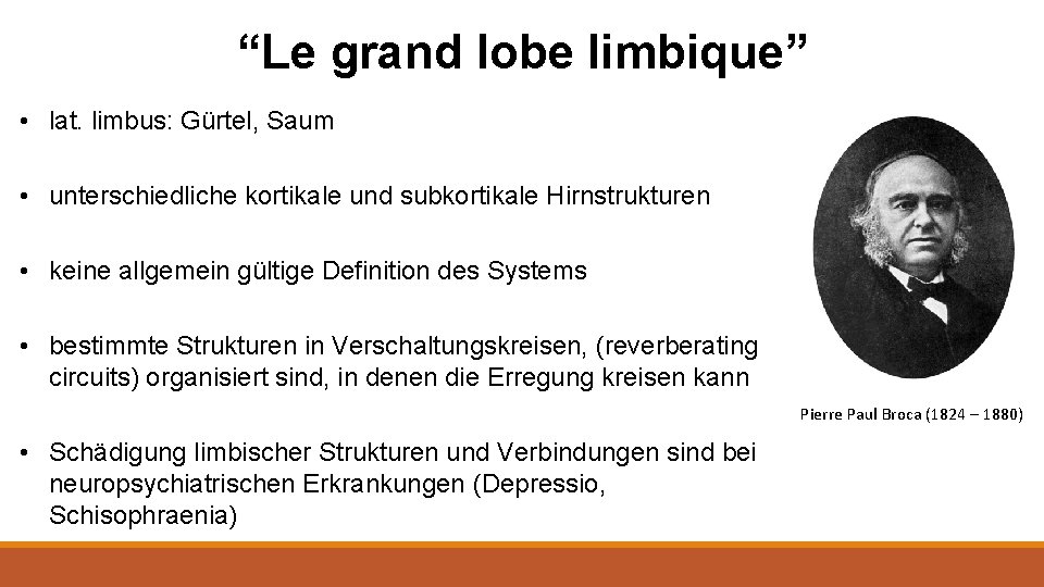 “Le grand lobe limbique” • lat. limbus: Gürtel, Saum • unterschiedliche kortikale und subkortikale