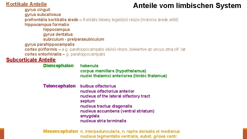 Kortikale Anteile vom limbischen System gyrus cinguli gyrus subcallosus prefrontális kortikális áreák – frontális