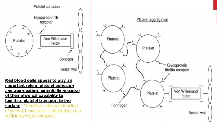 Red blood cells appear to play an important role in platelet adhesion and aggregation,