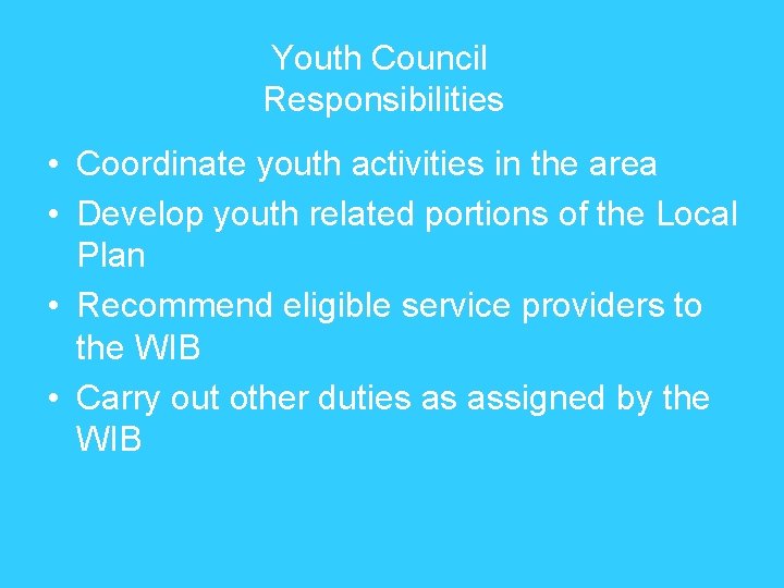 Youth Council Responsibilities • Coordinate youth activities in the area • Develop youth related