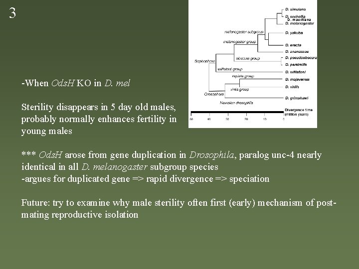 3 D. mauritiana -When Ods. H KO in D. mel Sterility disappears in 5