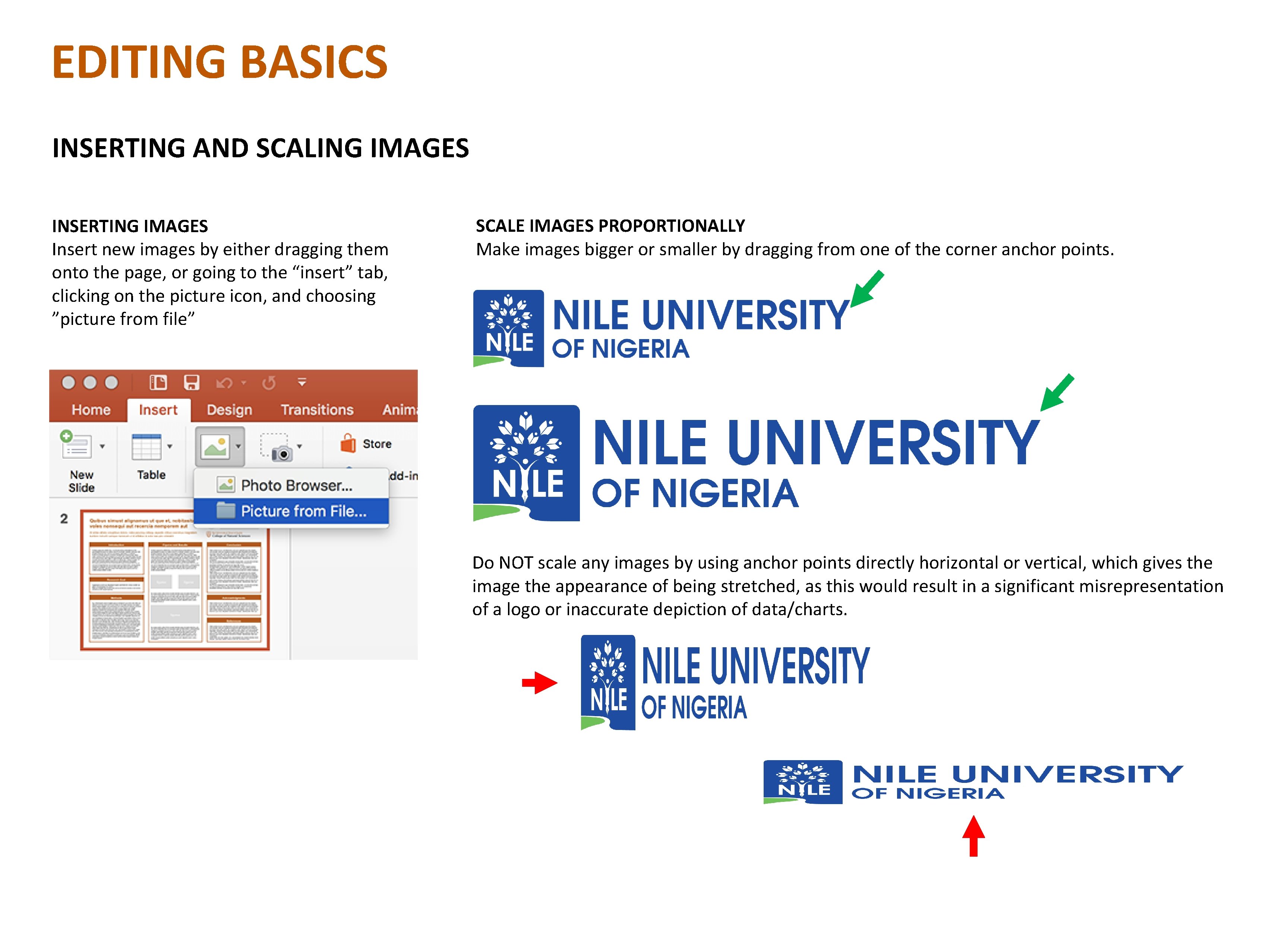 EDITING BASICS INSERTING AND SCALING IMAGES INSERTING IMAGES Insert new images by either dragging