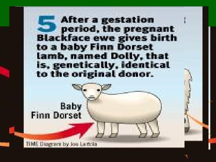 Nuclear transfer with electrical shock 