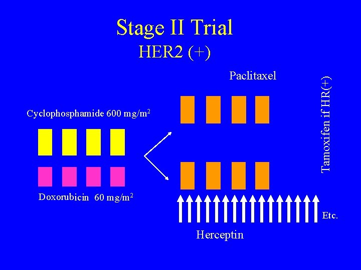 Stage II Trial Paclitaxel Cyclophosphamide 600 mg/m 2 Tamoxifen if HR(+) HER 2 (+)