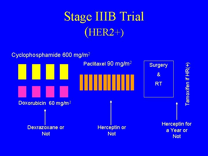 Stage IIIB Trial (HER 2+) Paclitaxel 90 mg/m 2 Surgery & RT Doxorubicin 60