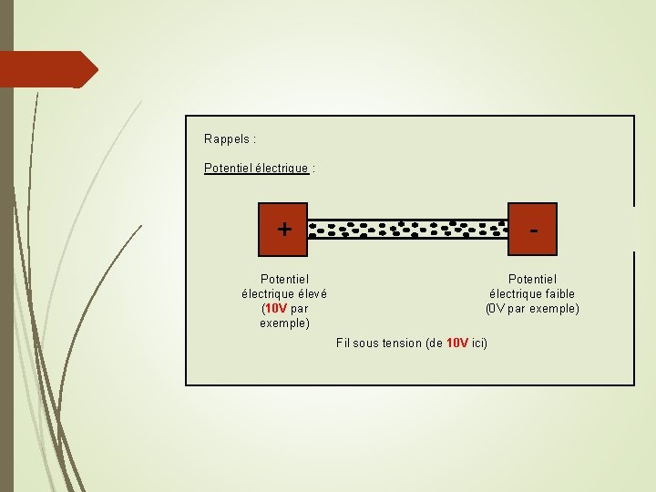 Rappels : Potentiel électrique : + - Potentiel électrique élevé (10 V par exemple)