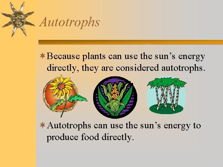 Photosynthesis and Respiration The Big Ideas Organisms need
