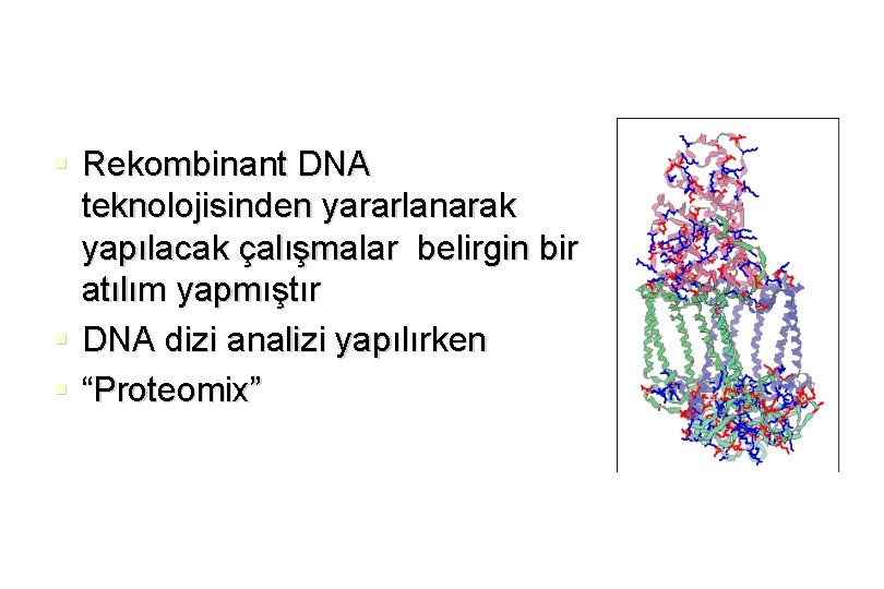 § Rekombinant DNA teknolojisinden yararlanarak yapılacak çalışmalar belirgin bir atılım yapmıştır § DNA dizi