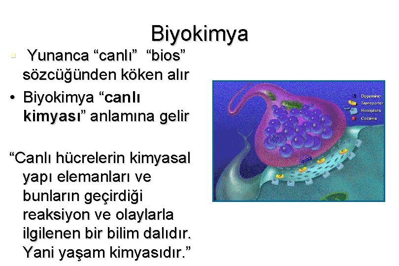 Biyokimya § Yunanca “canlı” “bios” sözcüğünden köken alır • Biyokimya “canlı kimyası” anlamına gelir