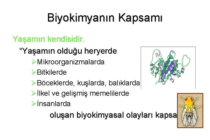 Biyokimyanın Kapsamı Yaşamın kendisidir. “Yaşamın olduğu heryerde ØMikroorganizmalarda ØBitkilerde ØBöceklerde, kuşlarda, balıklarda Øİlkel ve