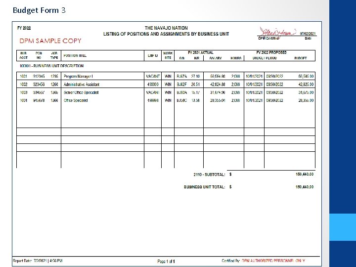 Budget Form 3 