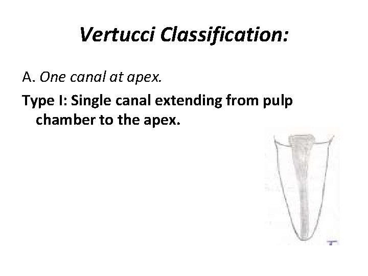 Vertucci Classification: A. One canal at apex. Type I: Single canal extending from pulp