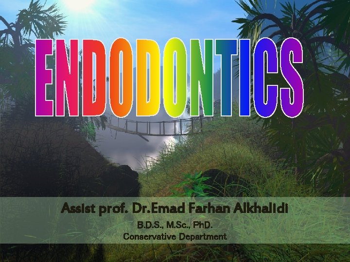 Assist prof. Dr. Emad Farhan Alkhalidi B. D. S. , M. Sc. , Ph.