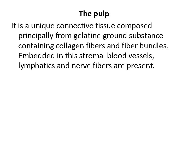 The pulp It is a unique connective tissue composed principally from gelatine ground substance