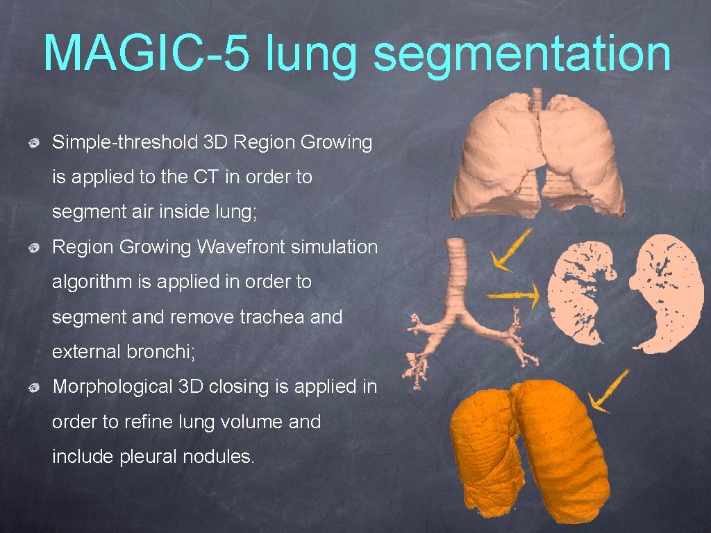 MAGIC-5 lung segmentation Simple-threshold 3 D Region Growing is applied to the CT in