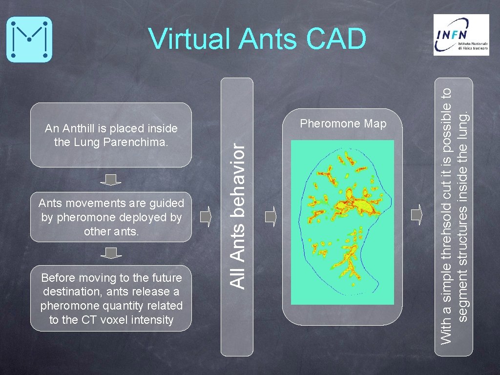 Ants movements are guided by pheromone deployed by other ants. Before moving to the