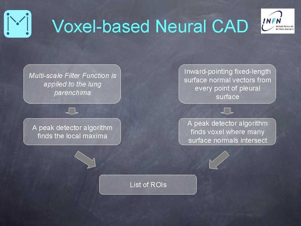 Voxel-based Neural CAD Multi-scale Filter Function is applied to the lung parenchima Inward-pointing fixed-length