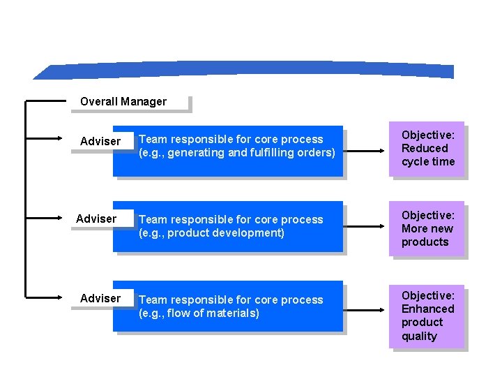 A Horizontal Organization Overall Manager Adviser Team responsible for core process (e. g. ,