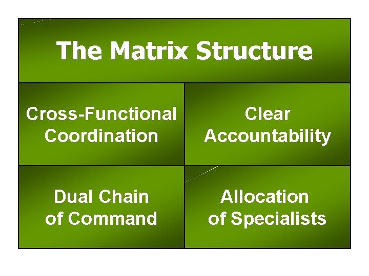 The Matrix Structure Cross-Functional Coordination Clear Accountability Dual Chain of Command Allocation of Specialists