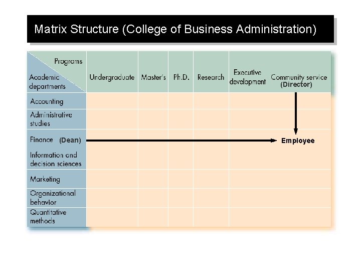 Matrix Structure (College of Business Administration) (Director) (Dean) Employee 