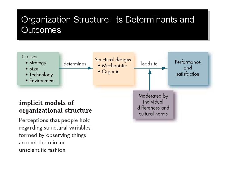 Organization Structure: Its Determinants and Outcomes 