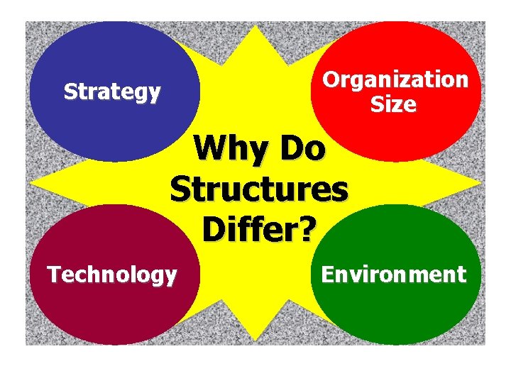 Organization Size Strategy Why Do Structures Differ? Technology Environment 