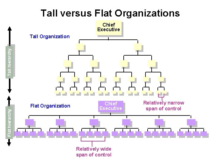 Tall versus Flat Organizations Chief Executive Tall hierarchy Tall Organization Flat hierarchy Flat Organization