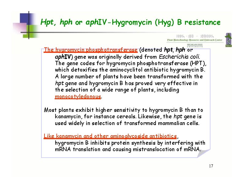 Hpt, hph or aph. IV-Hygromycin (Hyg) B resistance The hygromycin phosphotransferase (denoted hpt, hph