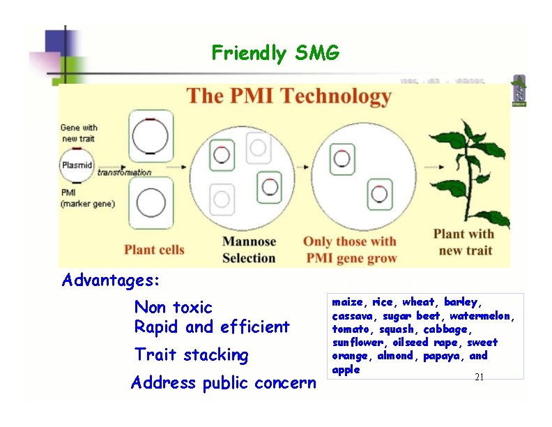 Friendly SMG Advantages: Non toxic Rapid and efficient Trait stacking Address public concern The