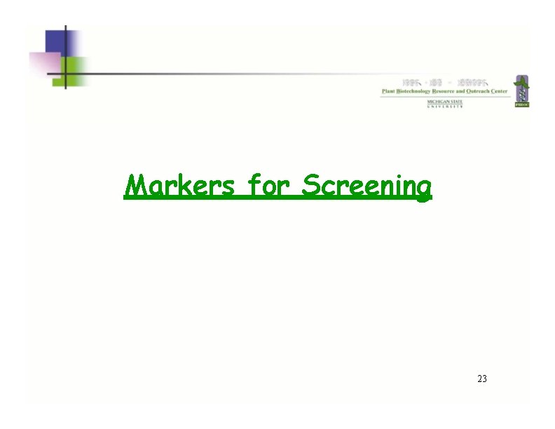 Markers for Screening 23  Markers for Screening 23