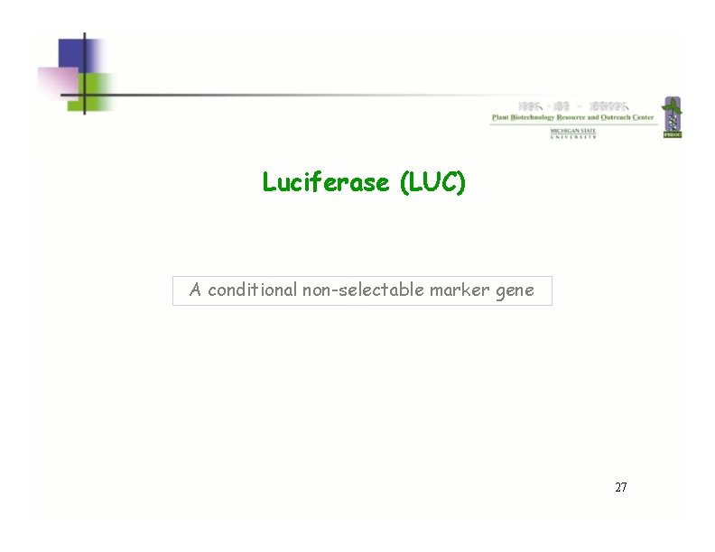 Luciferase (LUC) A conditional non-selectable marker gene 27  Luciferase (LUC) A conditional non-selectable marker gene 27