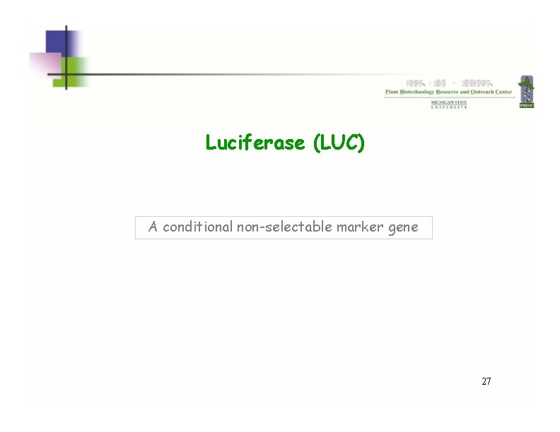 Luciferase (LUC) A conditional non-selectable marker gene 27 