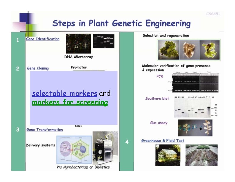 selectable markers and markers for screening 4  selectable markers and markers for screening 4