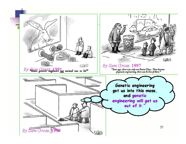 By Sam Gross, 1991 By Sam Gross, 1997 Genetic engineering got us into this By Sam Gross, 1991 By Sam Gross, 1997 Genetic engineering got us into this