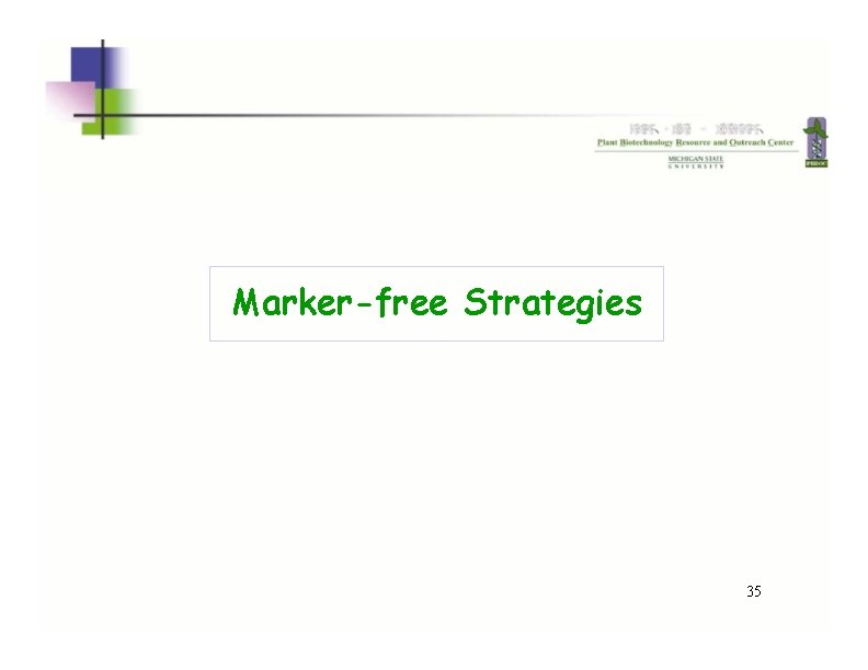 Marker-free Strategies 35 
