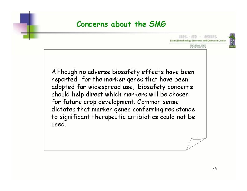 Concerns about the SMG Although no adverse biosafety effects have been reported for the