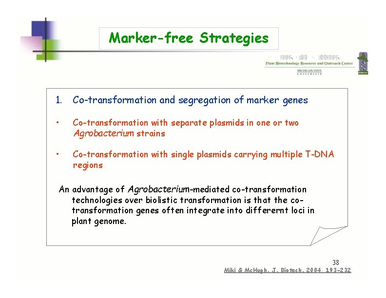 Marker-free Strategies 1. Co-transformation and segregation of marker genes • Co-transformation with separate plasmids