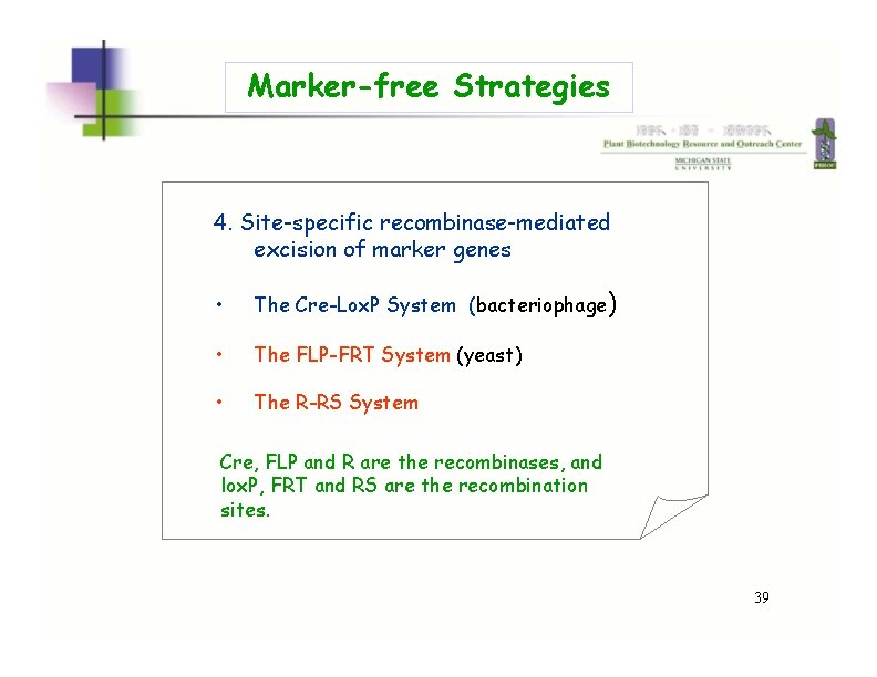 Marker-free Strategies 4. Site-specific recombinase-mediated excision of marker genes • The Cre-Lox. P System Marker-free Strategies 4. Site-specific recombinase-mediated excision of marker genes • The Cre-Lox. P System