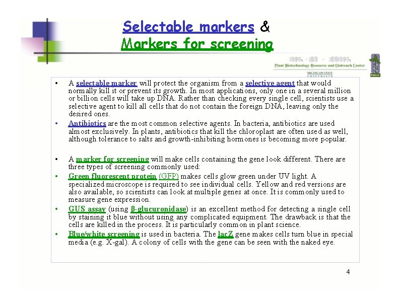 Selectable markers & Markers for screening • • • A selectable marker will protect