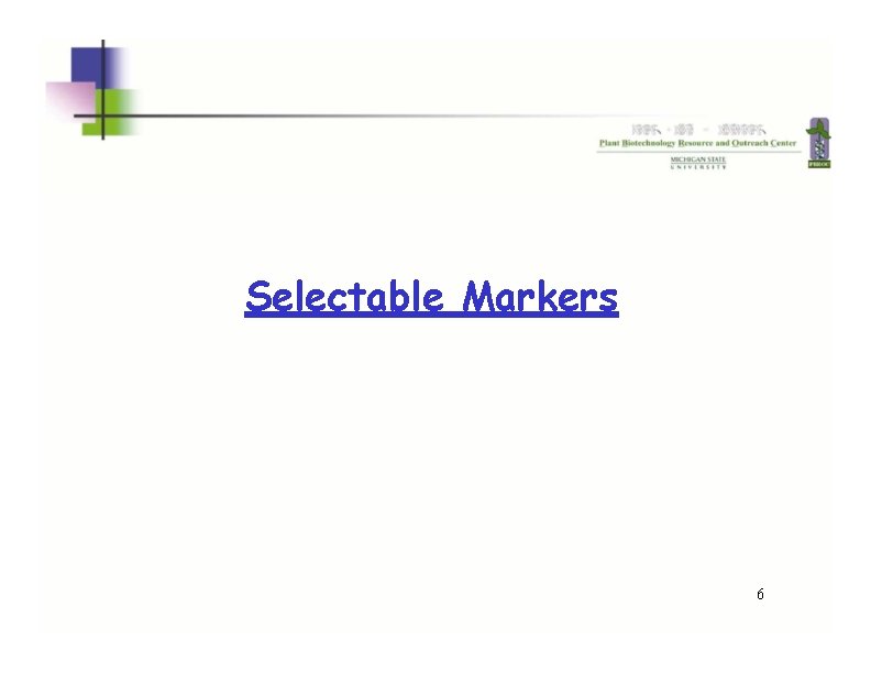 Selectable Markers 6  Selectable Markers 6