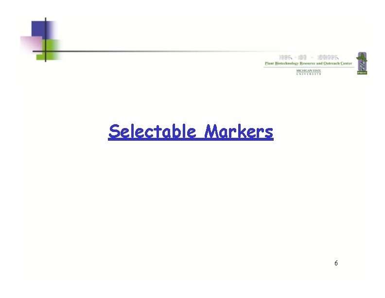 Selectable Markers 6 