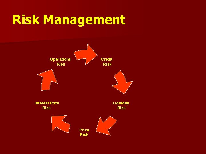 Risk Management Credit Risk Operations Risk Liquidity Risk Interest Rate Risk Price Risk 