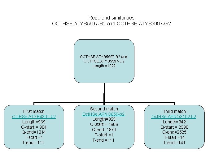 Read and similarities OCTHSE. ATYB 5997 -B 2 and OCTHSE. ATYB 5997 -G 2