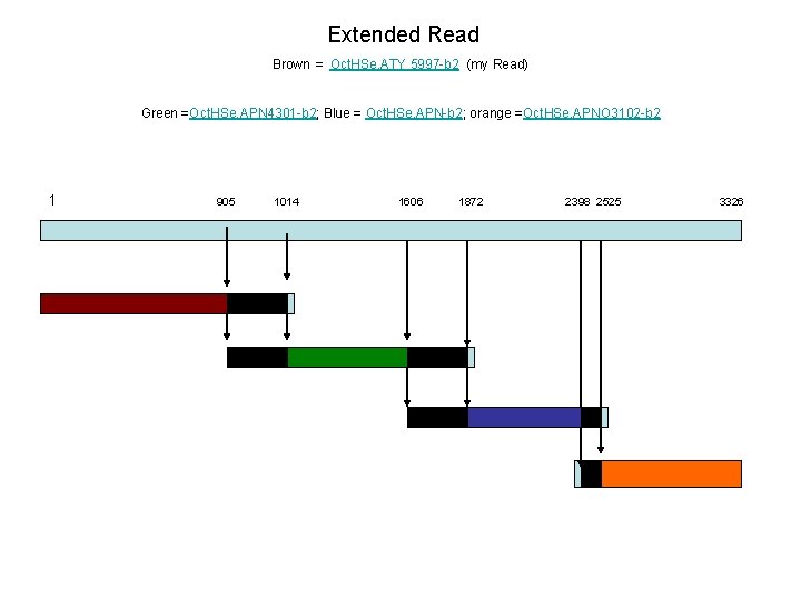 Extended Read Brown = Oct. HSe. ATY 5997 -b 2 (my Read) Green =Oct.