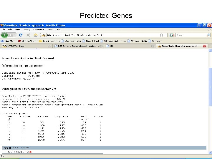 Predicted Genes 