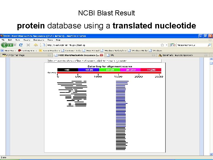 NCBI Blast Result protein database using a translated nucleotide 